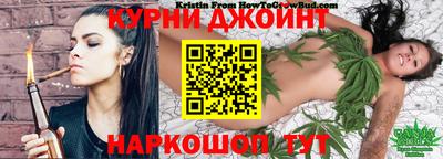 сатива Апшеронск