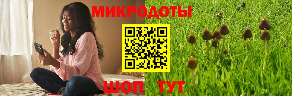 Псилоцибиновые грибы GOLDEN TEACHER  Псилоцибиновые грибы Cubensis  Волгоград  Вход с VPN 